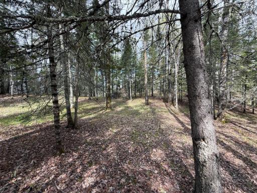 7355 Melrude Rd. W, Cotton, MN 55724