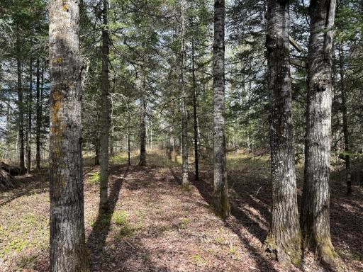7355 Melrude Rd. W, Cotton, MN 55724