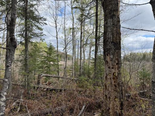 7355 Melrude Rd. W, Cotton, MN 55724