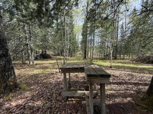 7355 Melrude Rd. W, Cotton, MN 55724