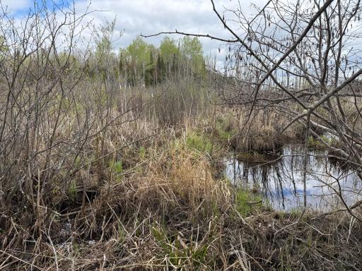7355 Melrude Rd. W, Cotton, MN 55724