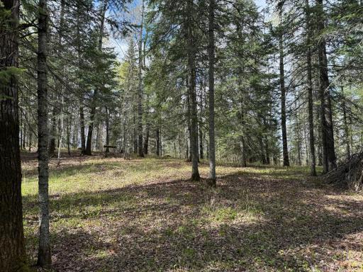 7355 Melrude Rd. W, Cotton, MN 55724