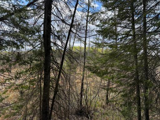 7355 Melrude Rd. W, Cotton, MN 55724