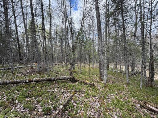 7355 Melrude Rd. W, Cotton, MN 55724