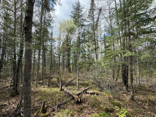 7355 Melrude Rd. W, Cotton, MN 55724