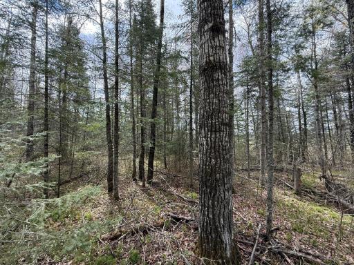 7355 Melrude Rd. W, Cotton, MN 55724