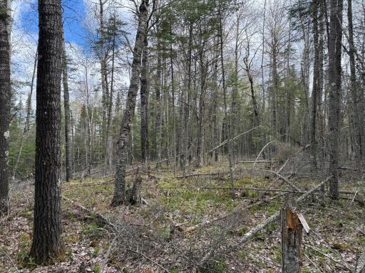 7355 Melrude Rd. W, Cotton, MN 55724