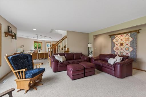 Large lower-level family room with open layout and walkout access to the backyard.