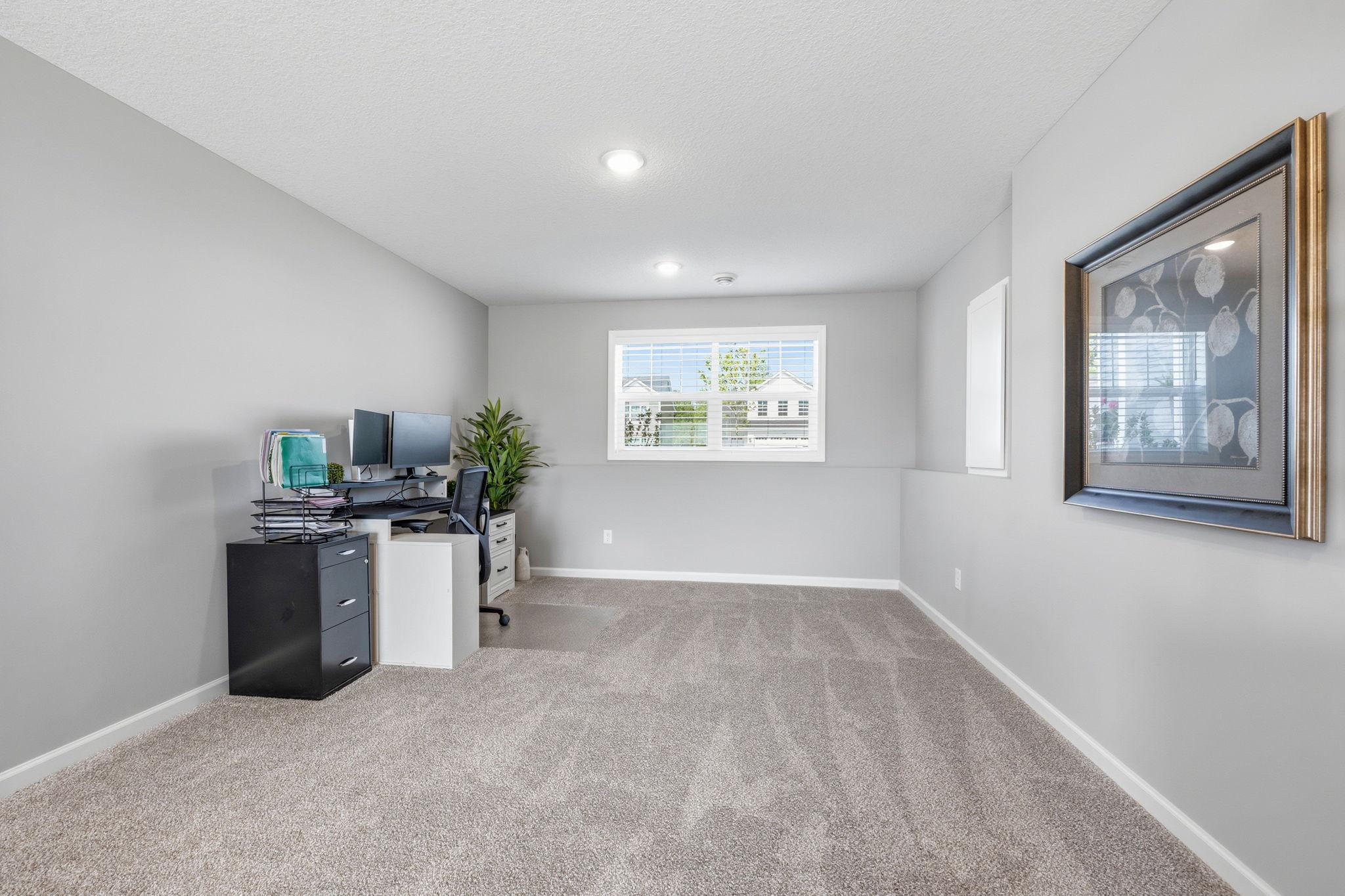 Lower Level flex space - office? workout?