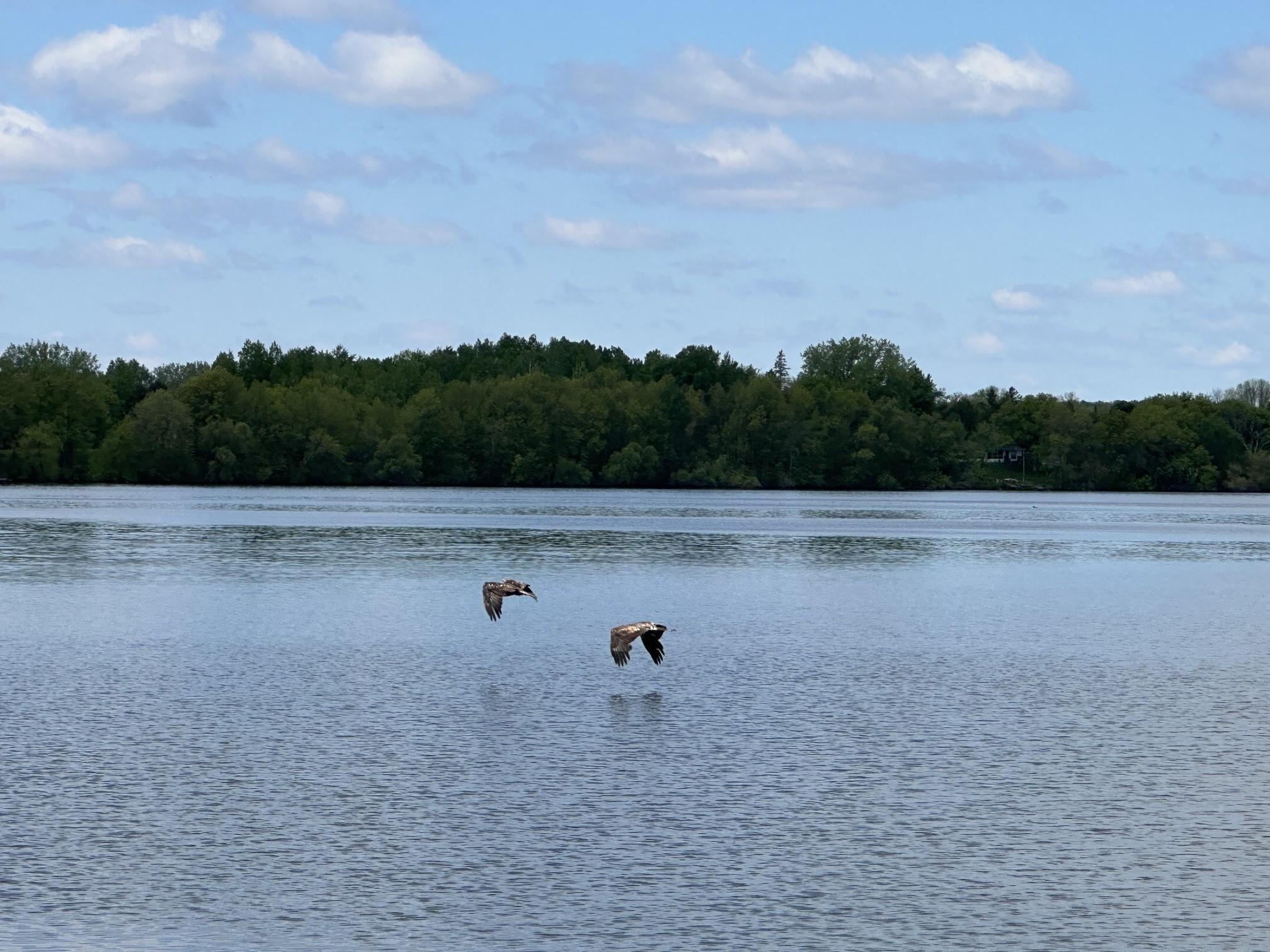 south stanchfield lake