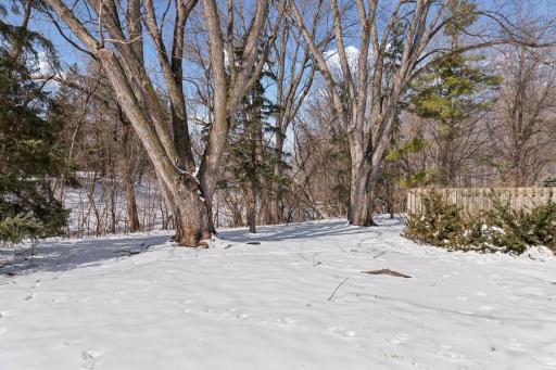 5570 & 5580 Shorewood Lane, Excelsior, MN 55331