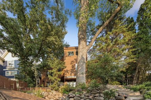 Tree-lined setting showcases the home's distinctive modern architecture.