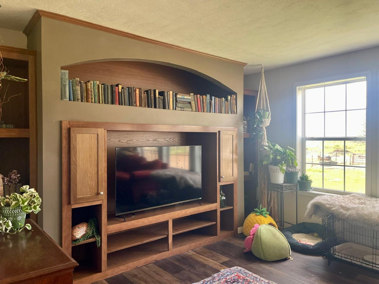 Living Room Built-ins