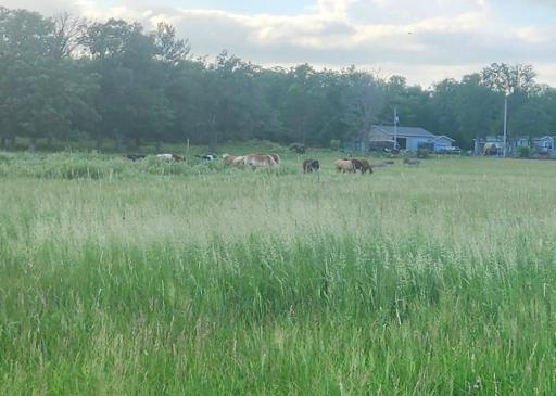 21509 County Road 22, Brainerd, MN 56401