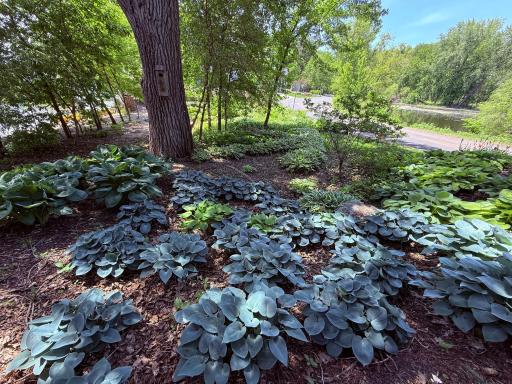 14484 Shady Beach Trail NE, Prior Lake, MN 55372