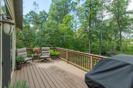 15321 Shellisa Lane, Baxter, MN 56425