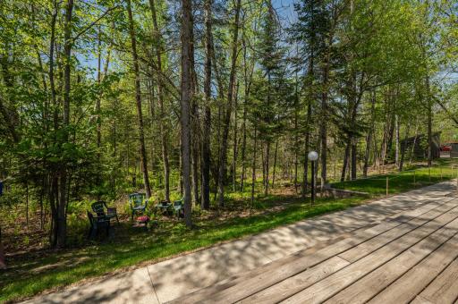 Wooded view from the deck