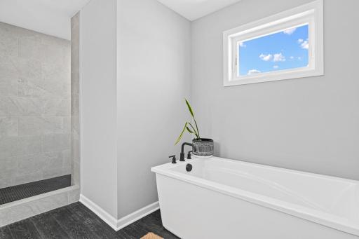 Primary bath. Walk-in shower & soaking tub