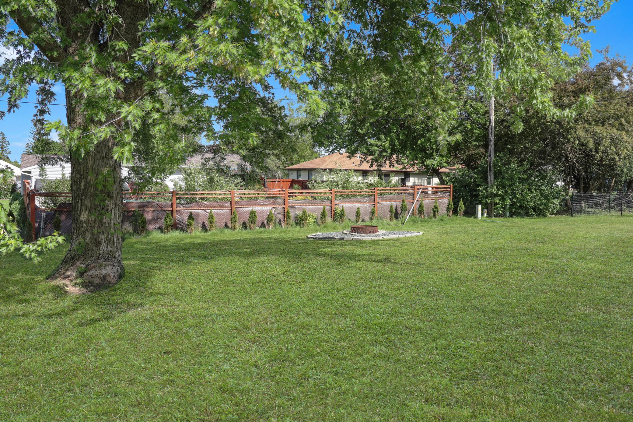 backyard4.jpg