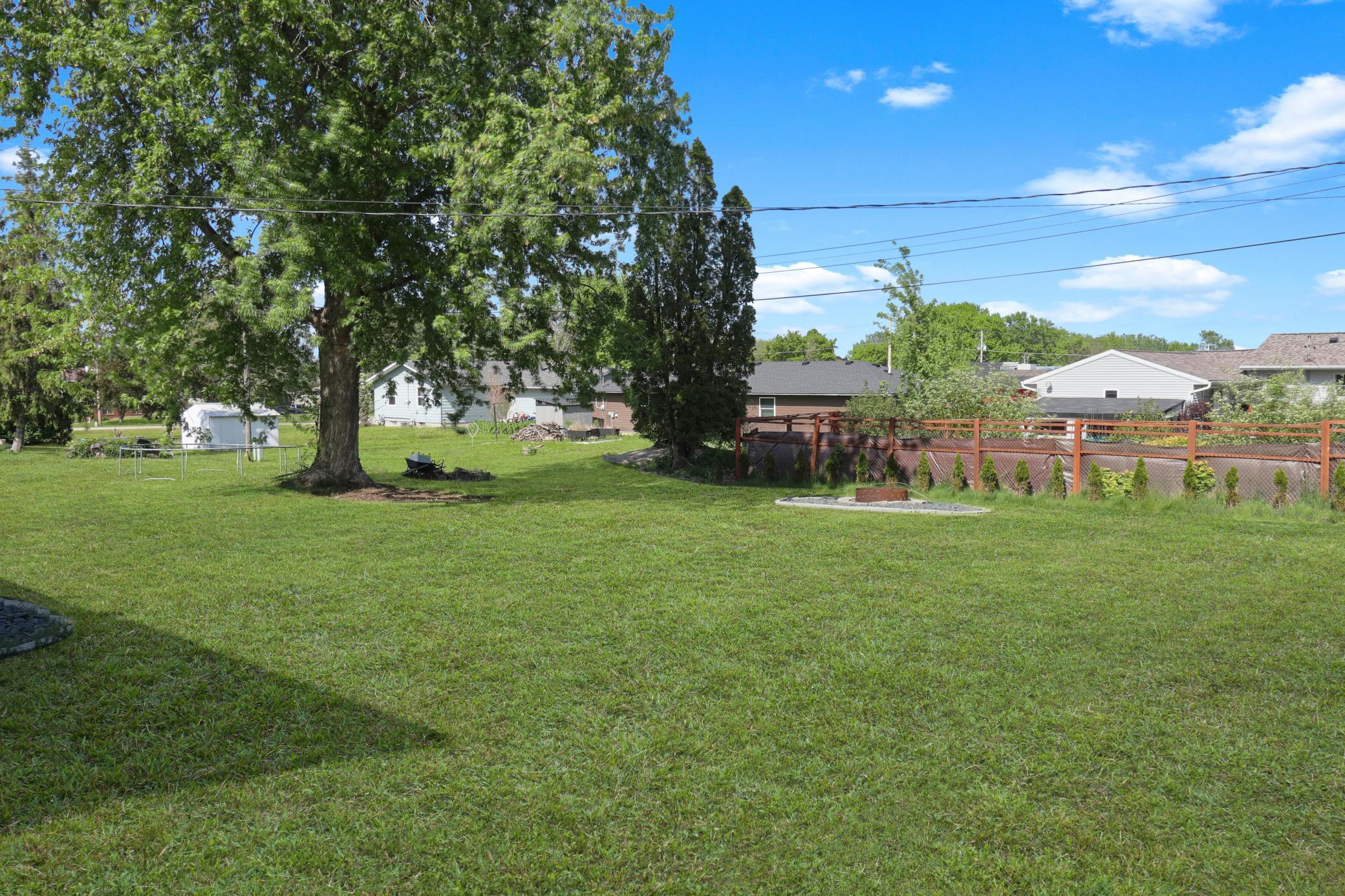 backyard5.jpg