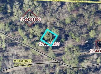 TBD Necktie Lane, Lake George, MN 56458