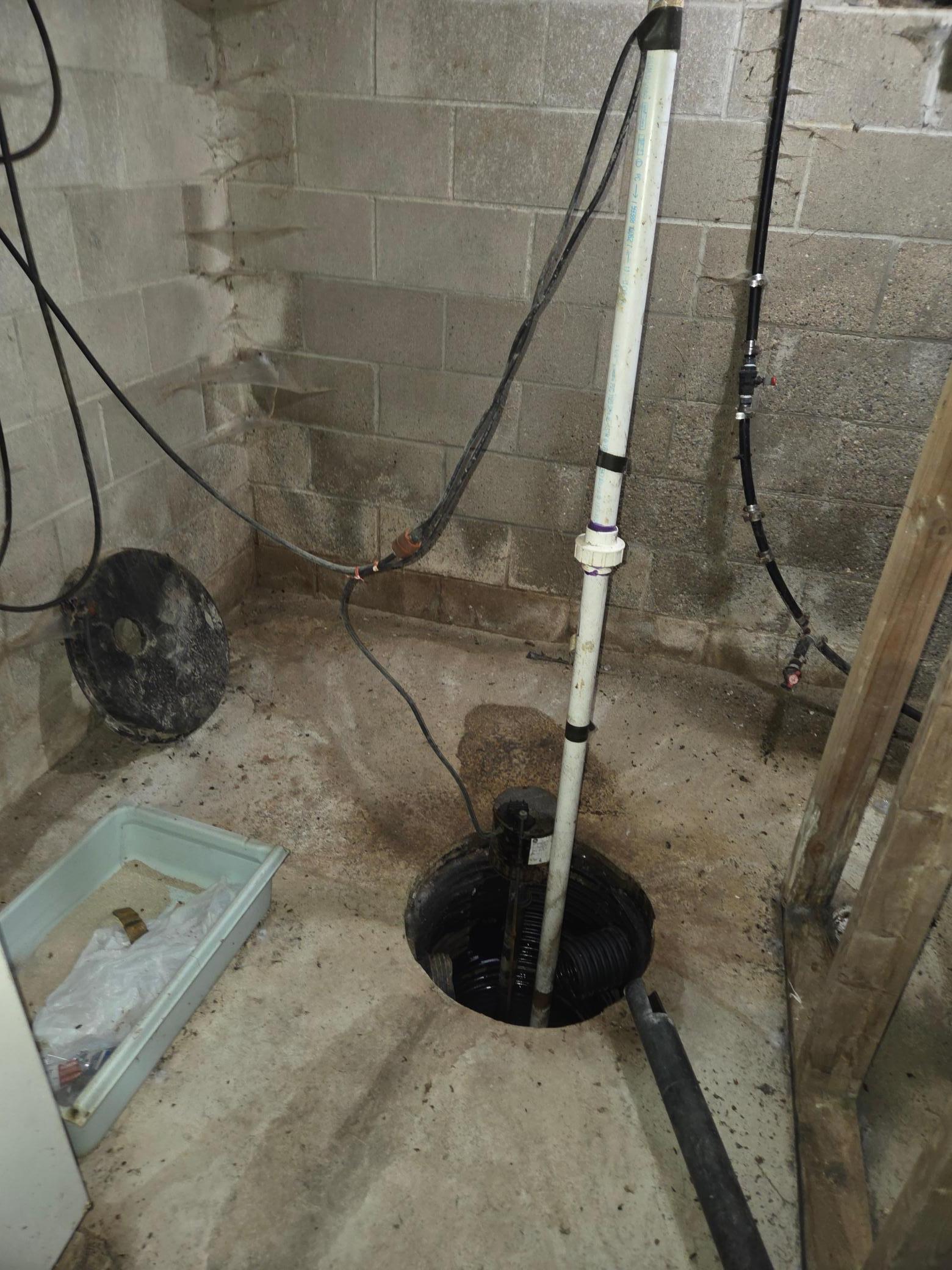 Sump Pump 1