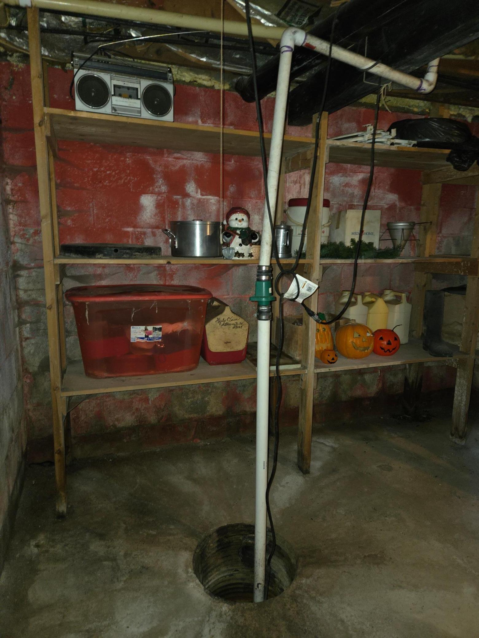 Sump Pump 2