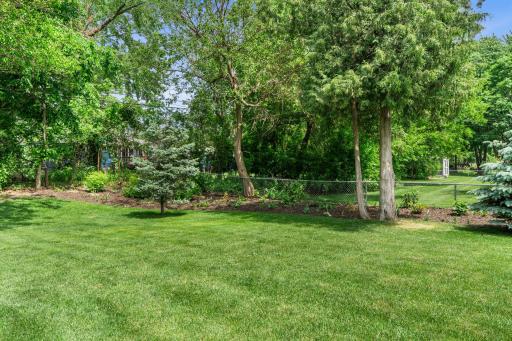 You'll love the private, tree-lined backyard.