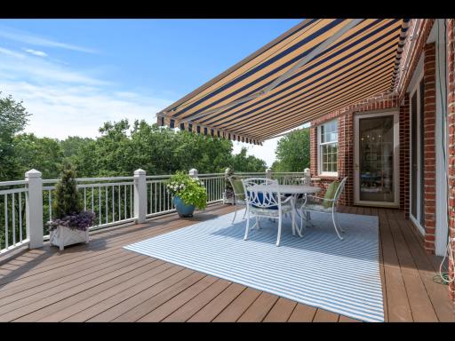 Huge Deck with Tiger-wood off Family Room