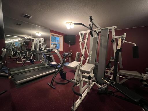 Lower level workout room with ALL the equipment!