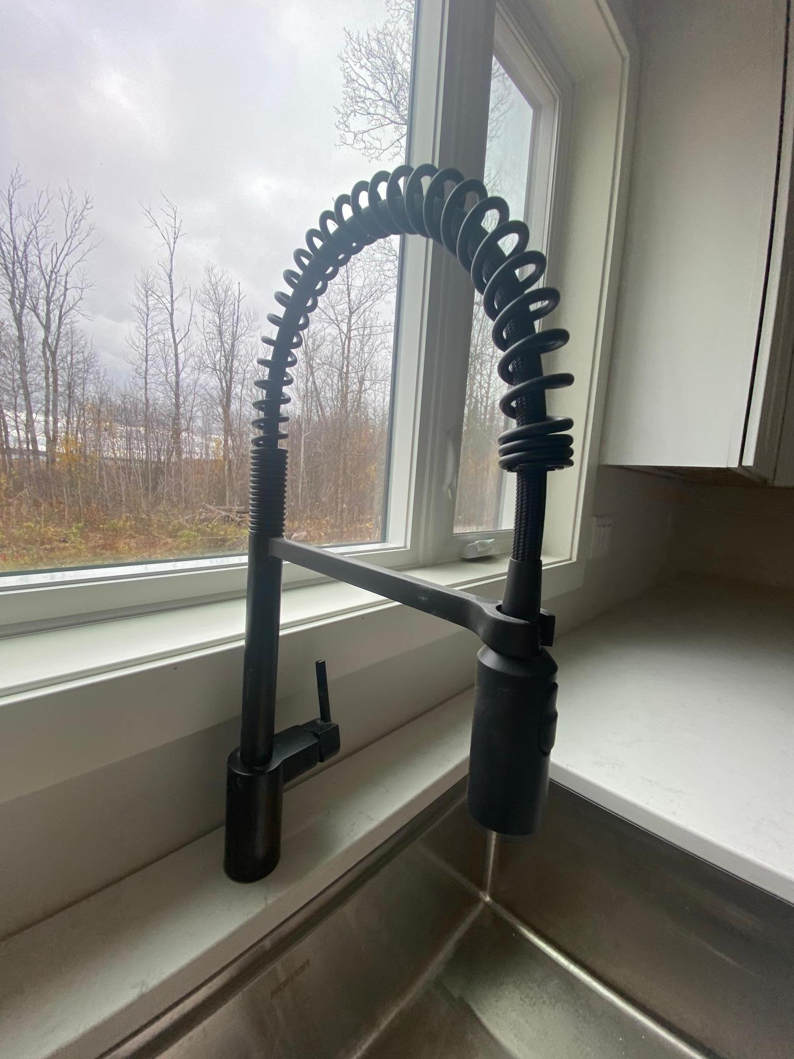 Kitchen faucet.JPG