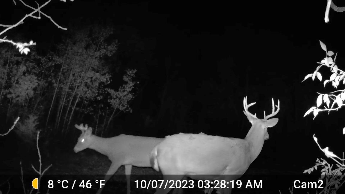 6560 Norris Lake 4 Pines (14).jpg