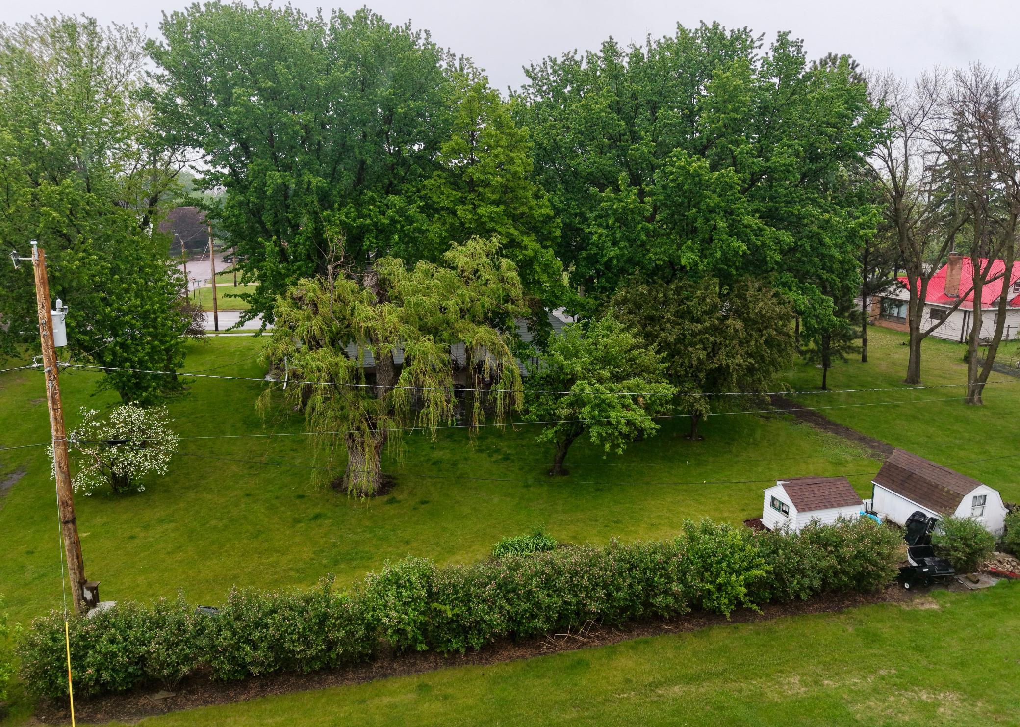 dji_fly_20260522_113254_0071_1779476757258_photo.jpeg