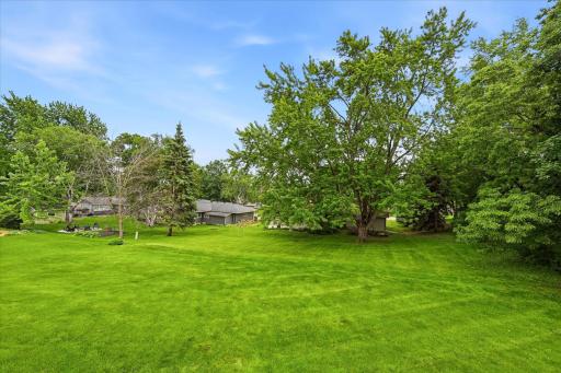 Nothing but green grass/space in the backyard.