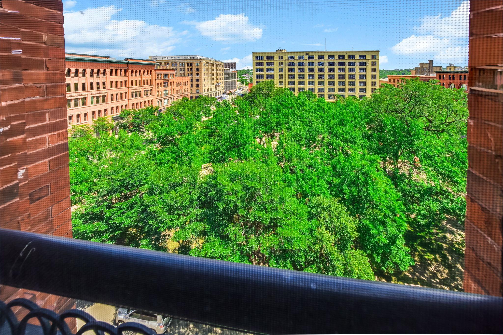 21-web-or-mls-198-6th-St-E-601-21.jpg