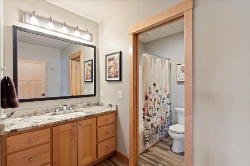 34536 Wildernessa Road, Deer River, MN 56636