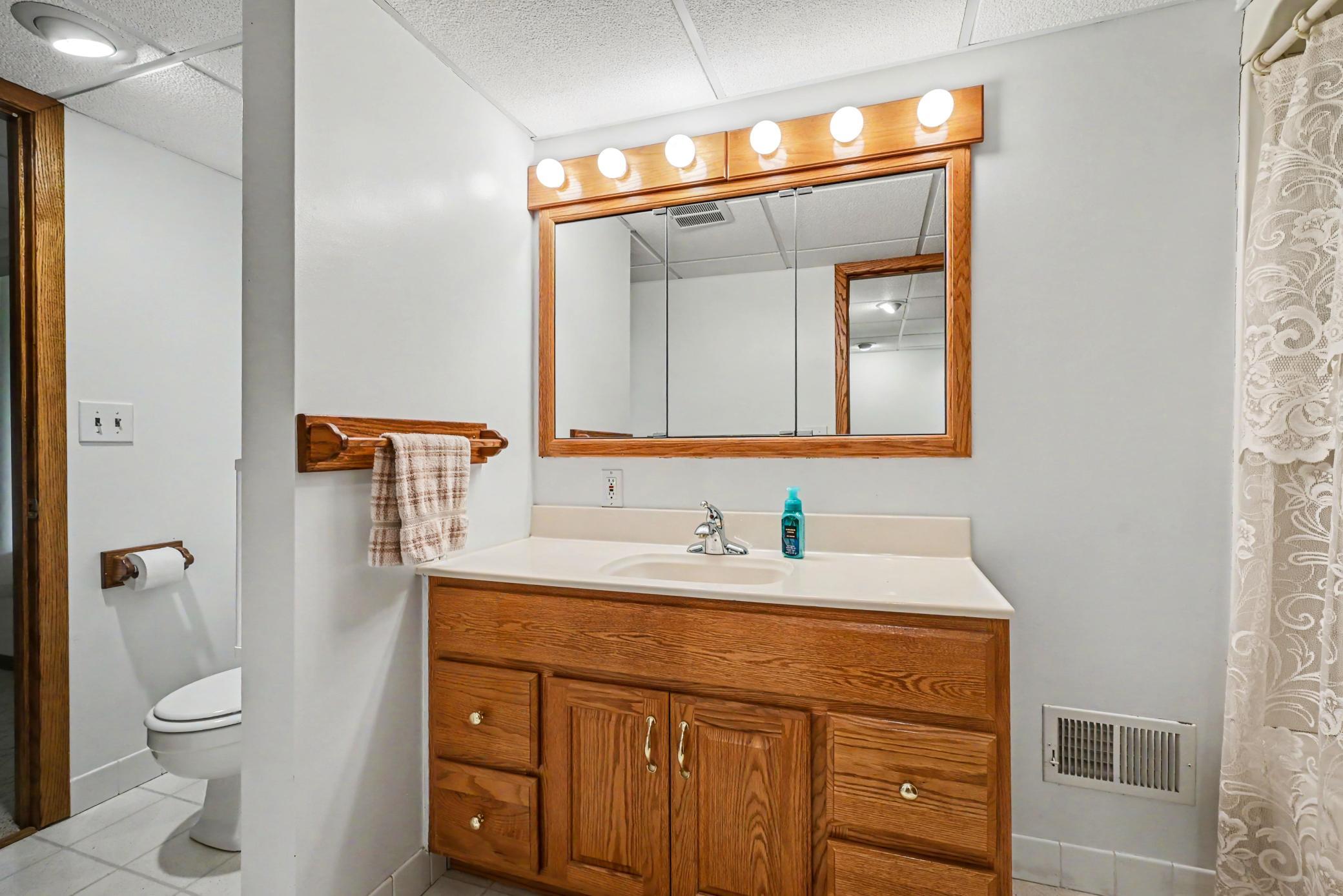Lower Level walk-thru bathroom