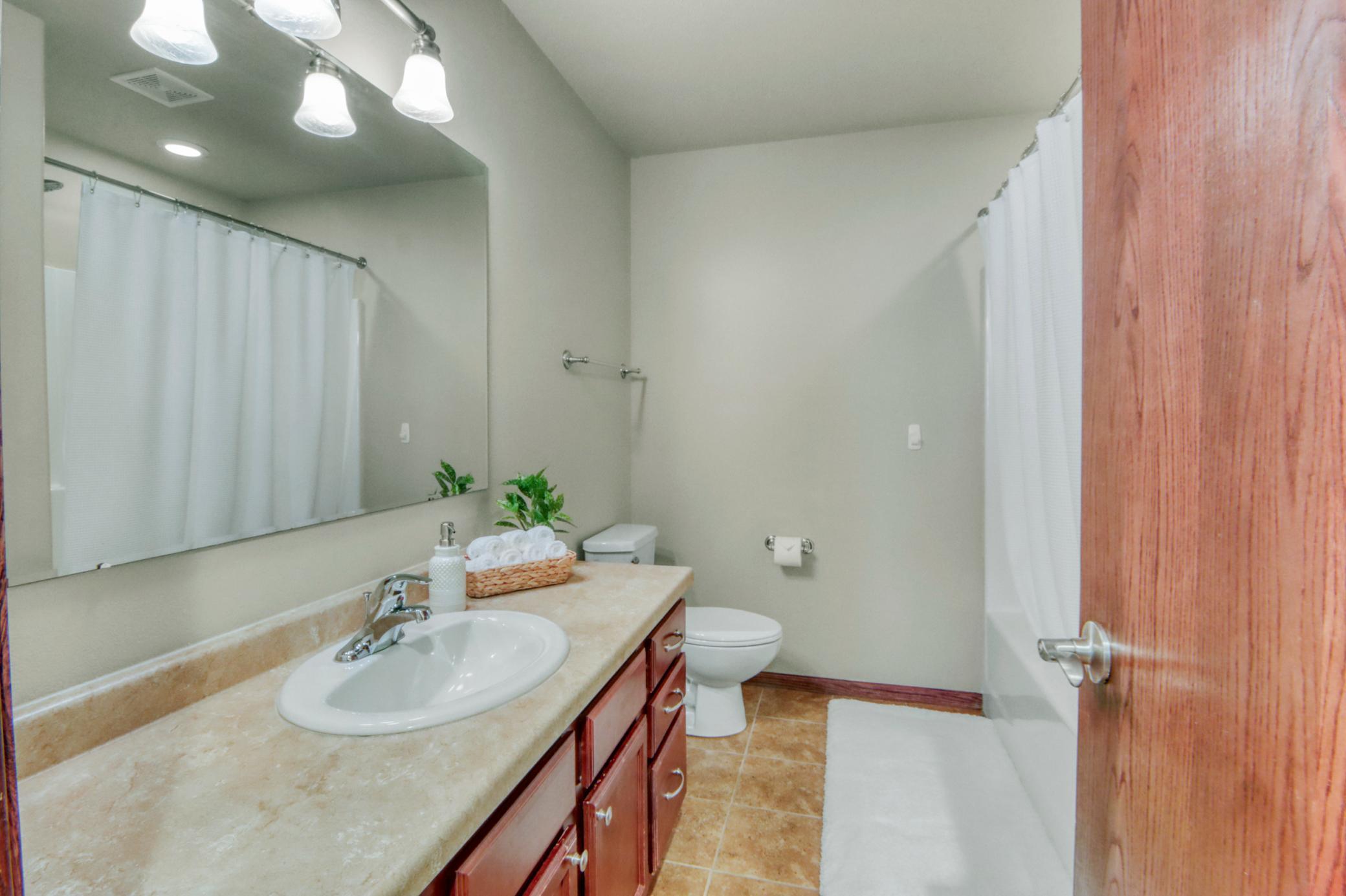 Basement Bathroom1_0.JPG