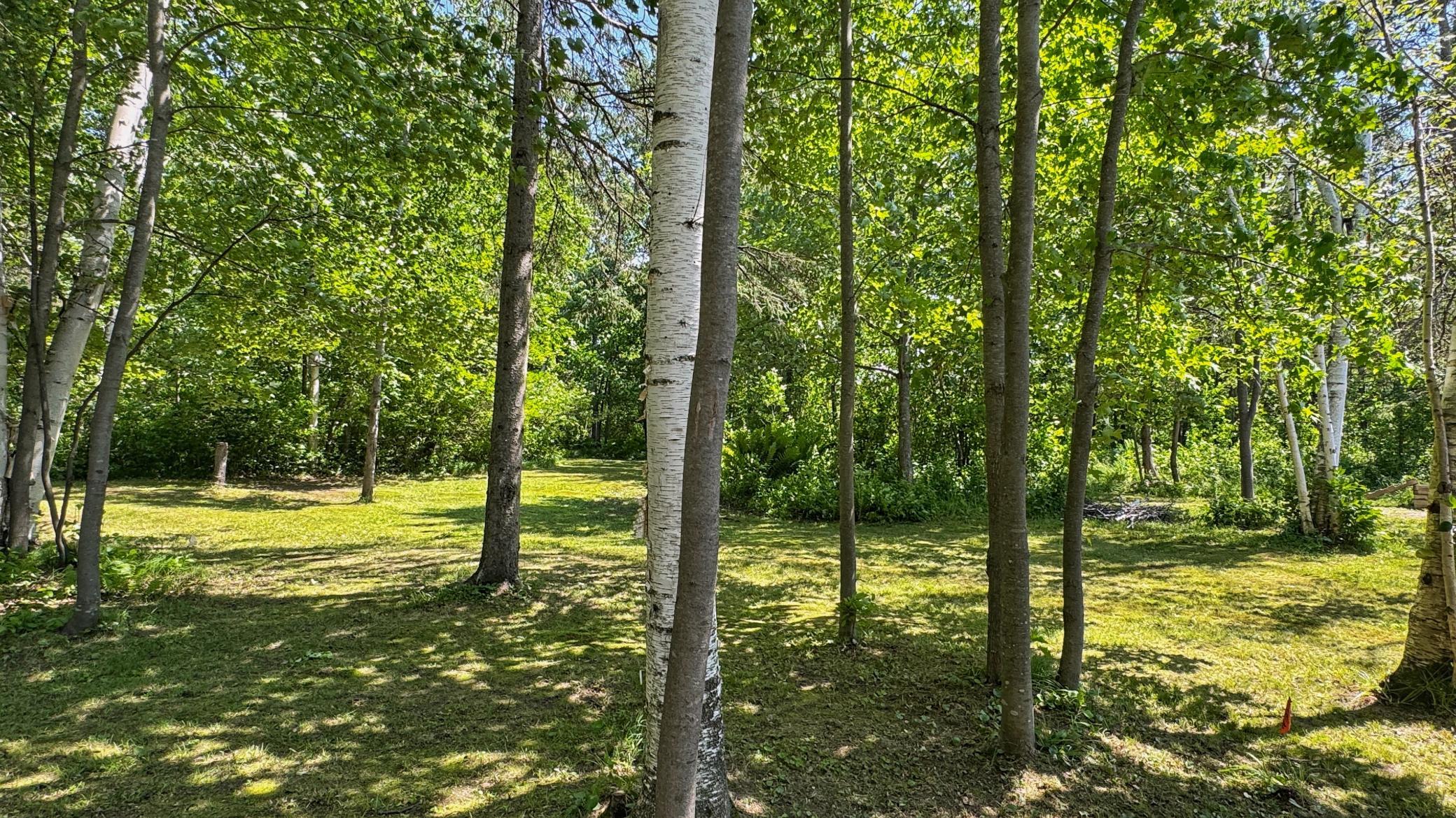 Trails throughout backyard acreage