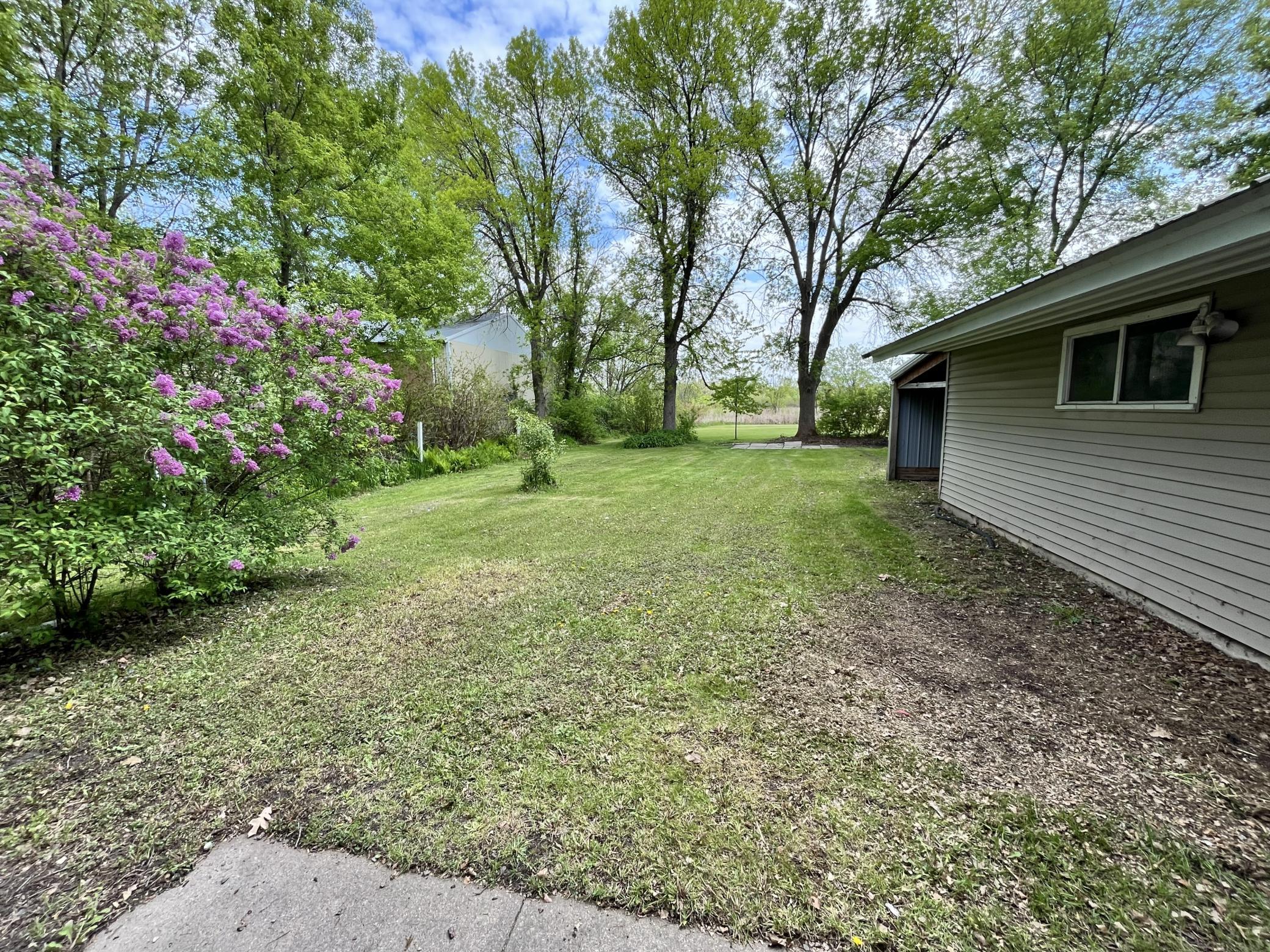 back yard 1.jpg