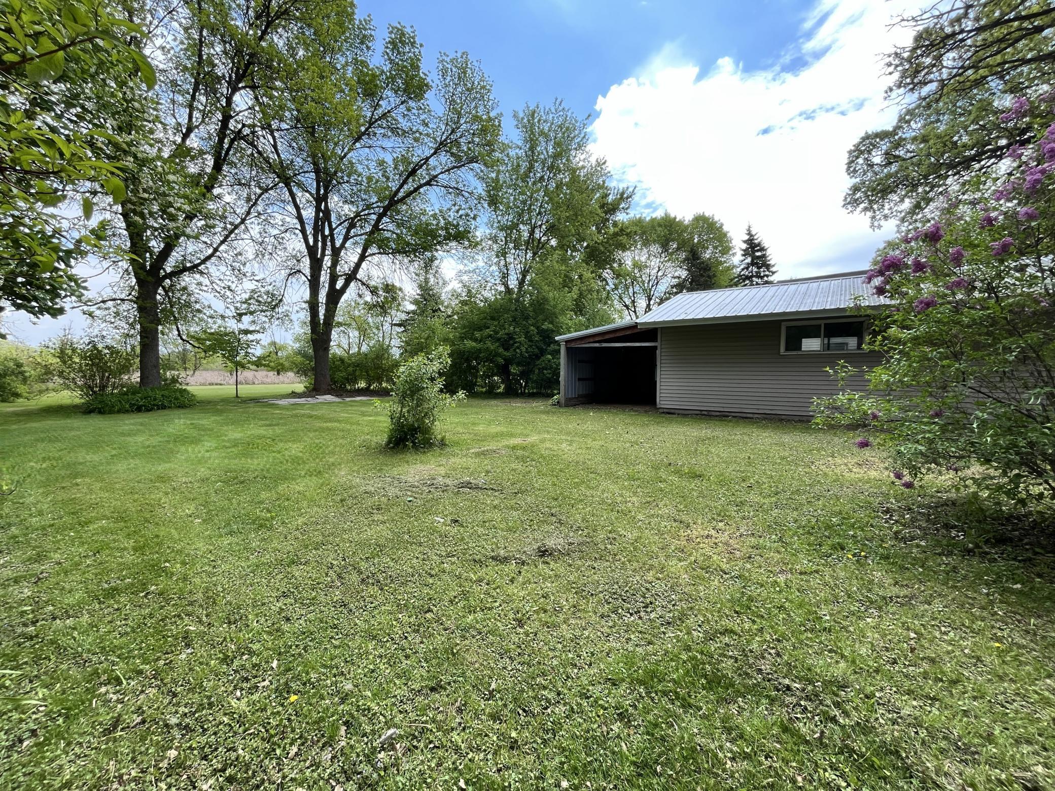 back yard 2.jpg