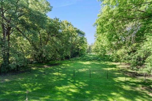 Wetland is city property and home to many deer and other animals.