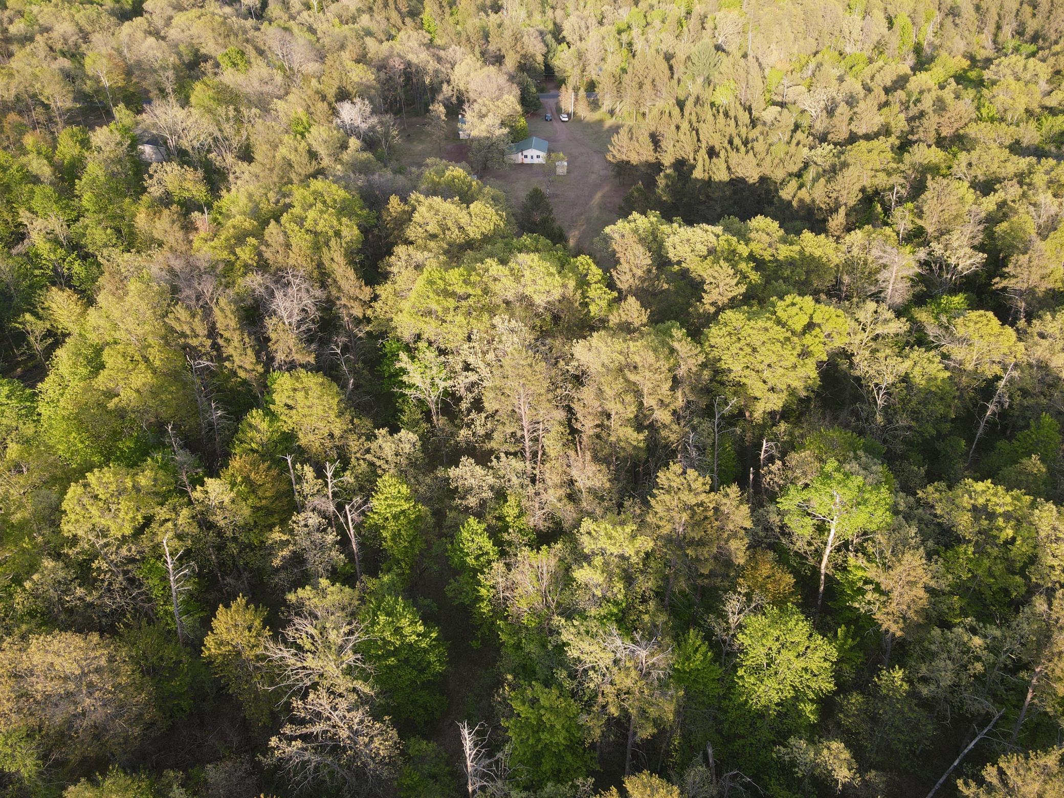 DJI_0567.JPG