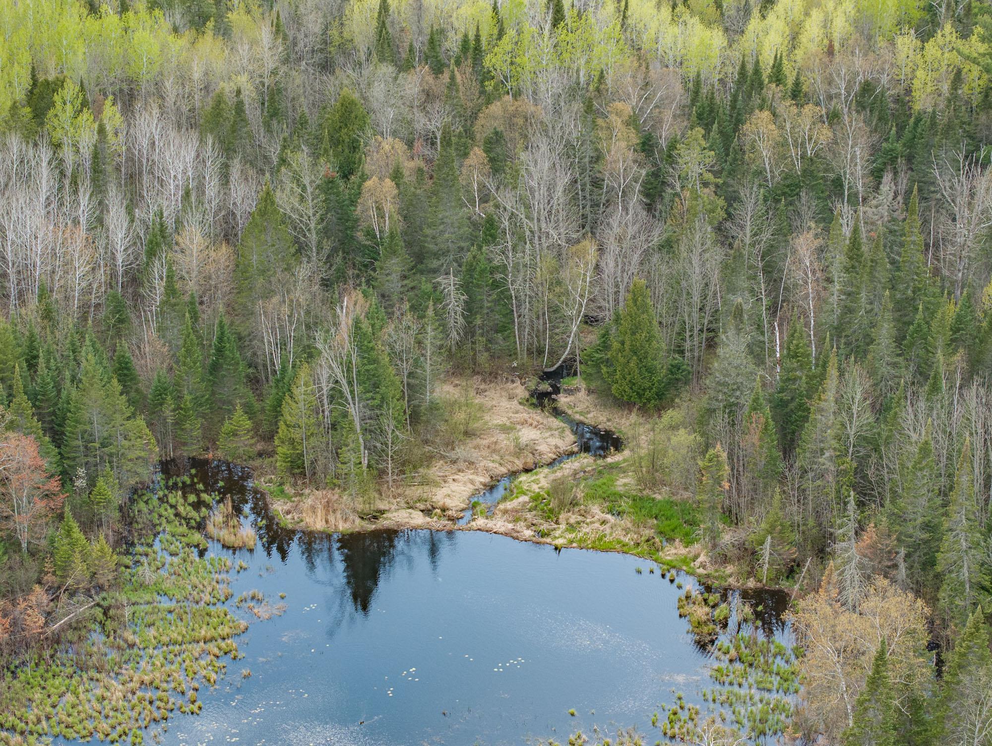 DJI_20260521162117_0157_D.jpg