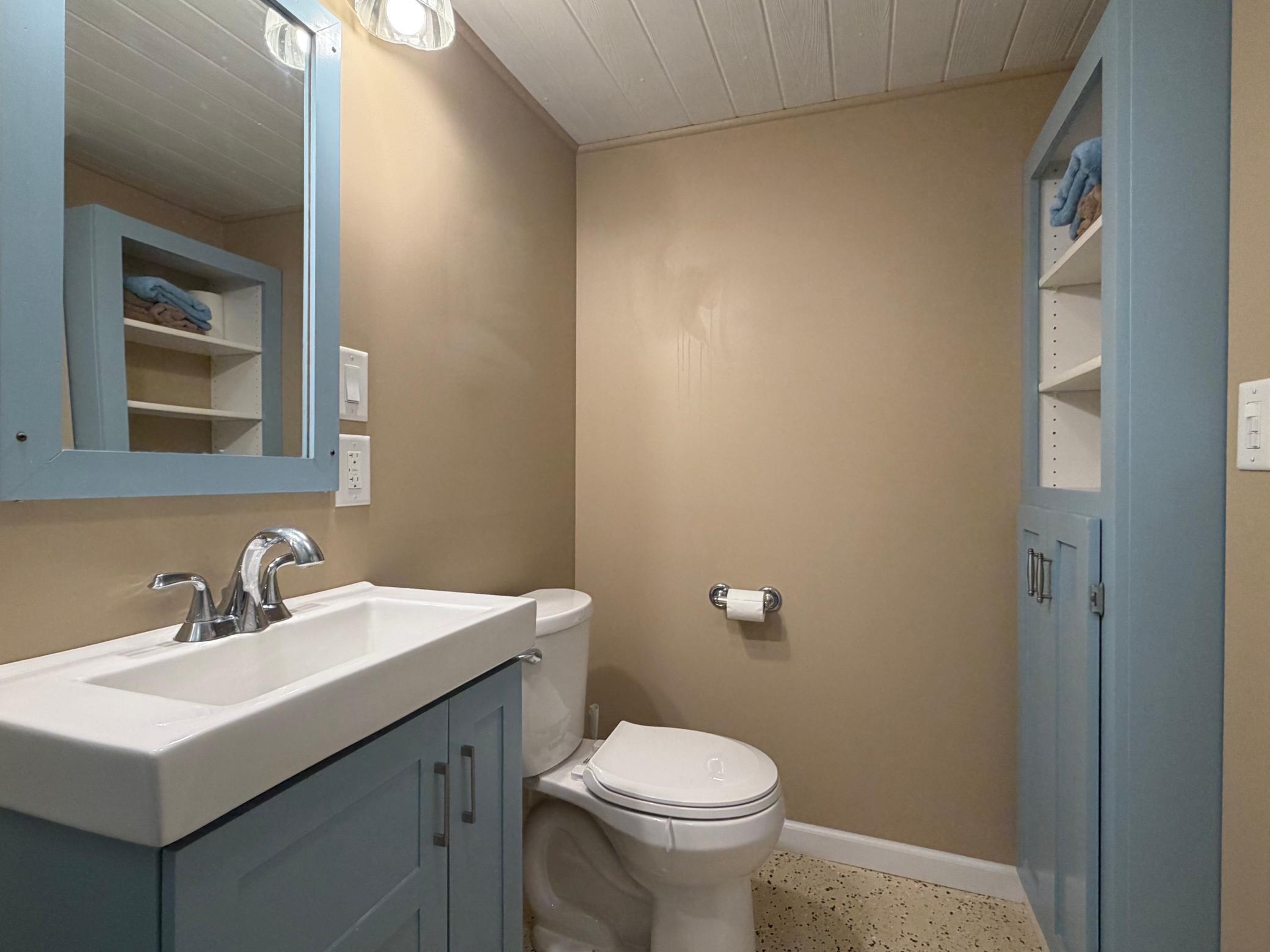 Lower Level Bathroom - #2.jpg