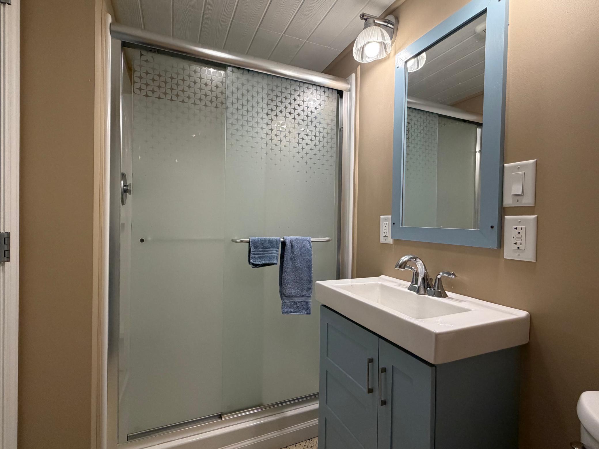 Lower Level Bathroom - #1.jpg