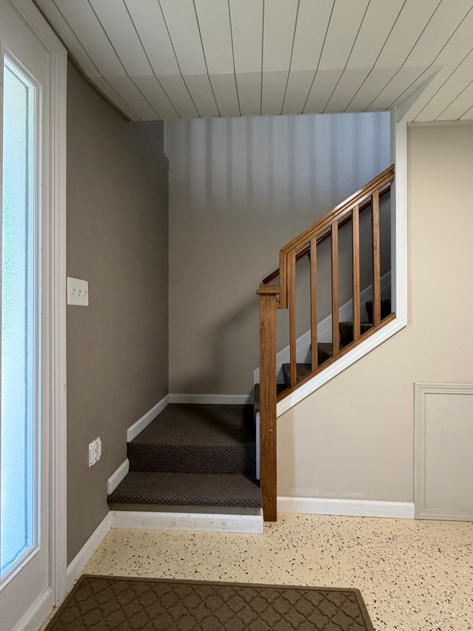 Lower Level Stairs.jpg
