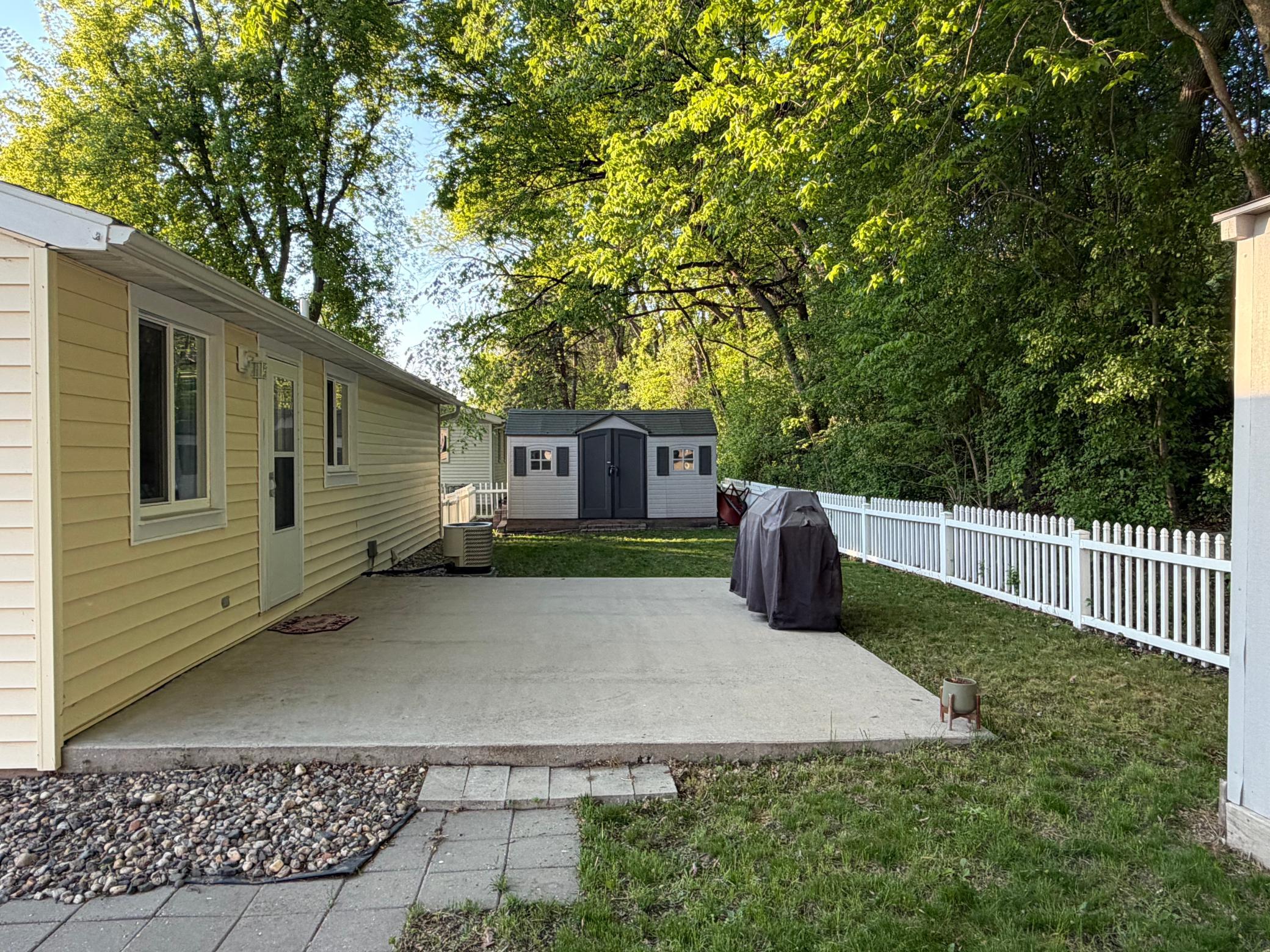 Backyard - #1.jpg