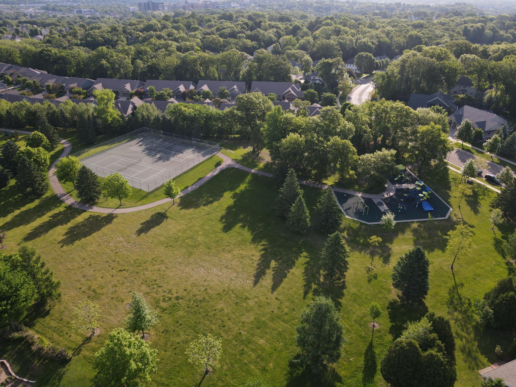 Younge Park Aerial
