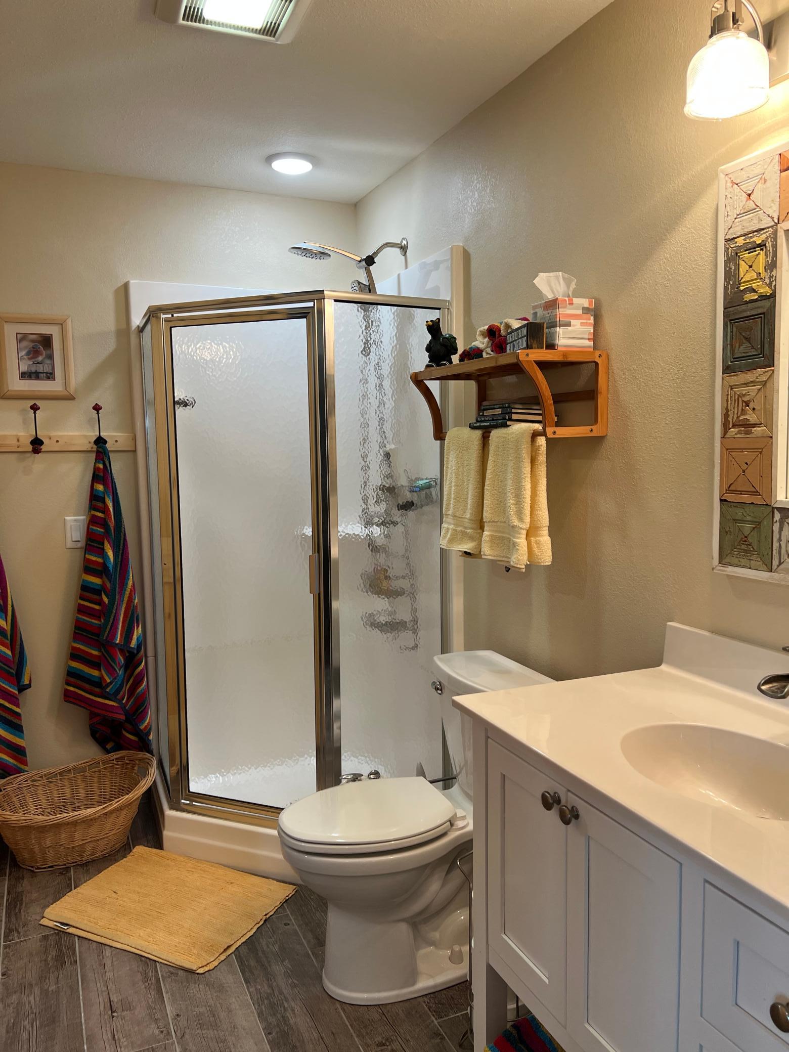 guest bath 1.jpeg